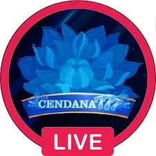 cendana777 App: Info, Rating, dan Link Download